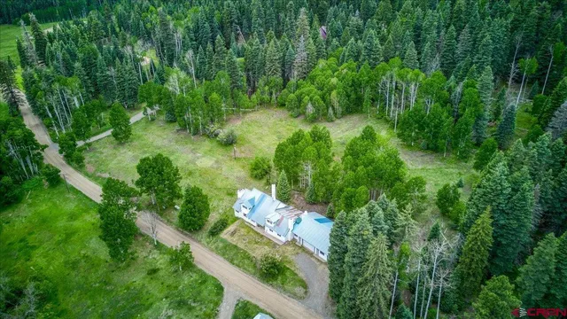a view of a lush green forest with lots of trees