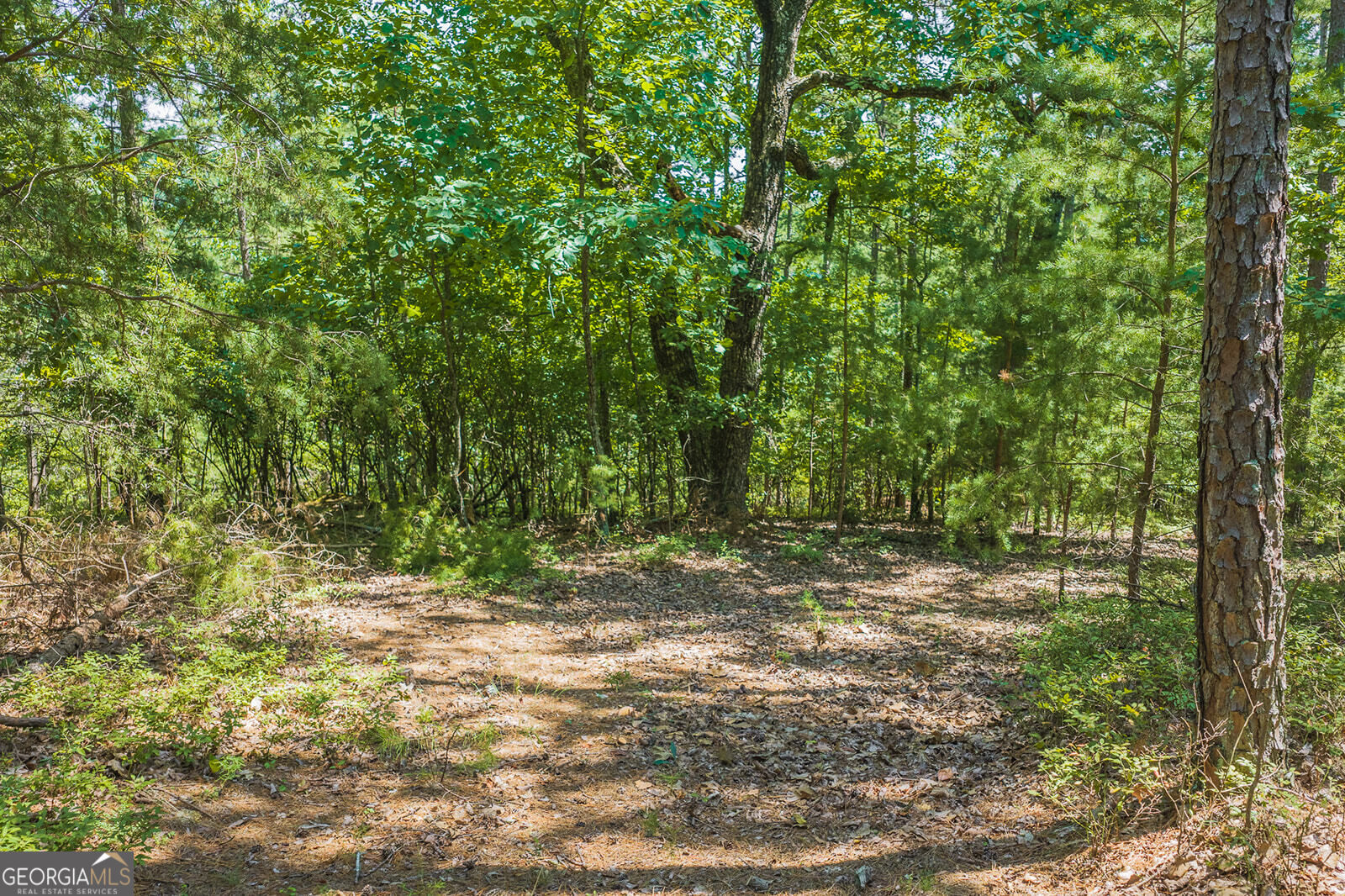 694-695 Railey Ridge, Unit 694695 Ranger, GA 30734 - Photo 7 of 15 Gallery Image 7