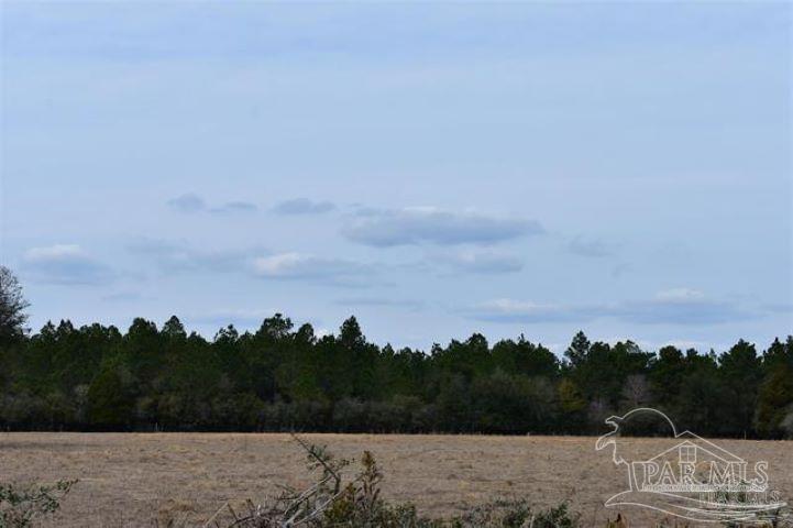 1 Pat Brown Road Milton, FL 32570 - Photo 22 of 30 Gallery Image 22