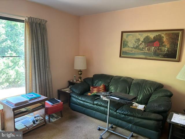 19 Pennington Road East Windsor, NJ 08520 - Photo 11 of 33 Gallery Image 11