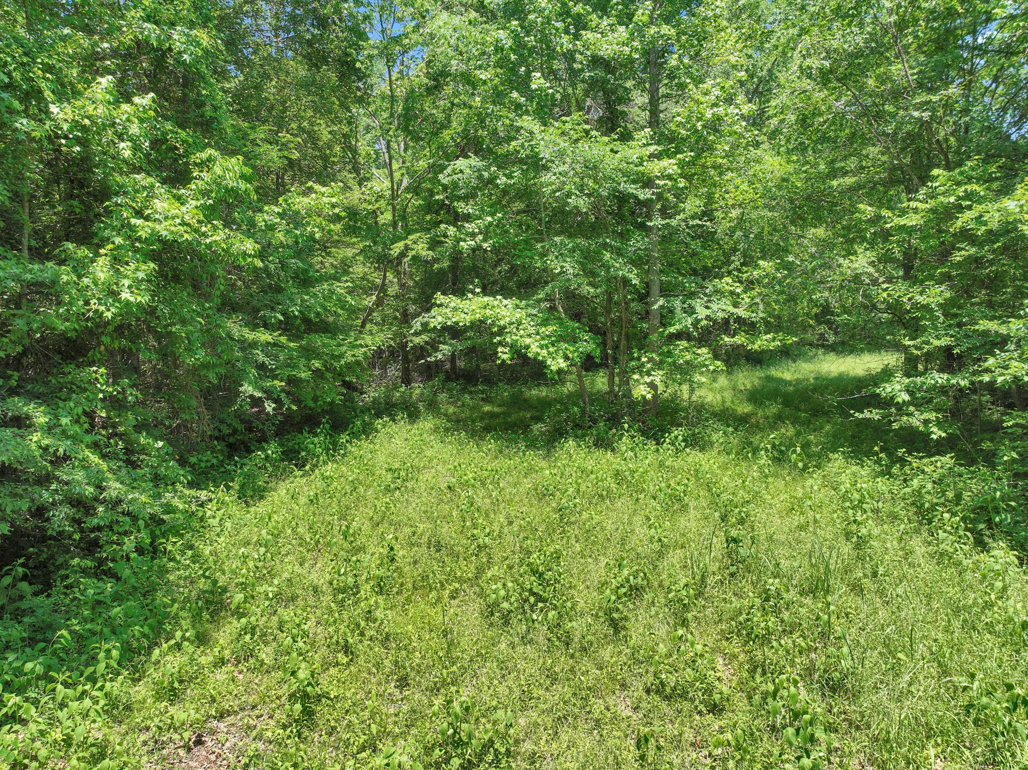 0 Tinnin Road Clifton, TN 38425 - Photo 54 of 71 Gallery Image 54