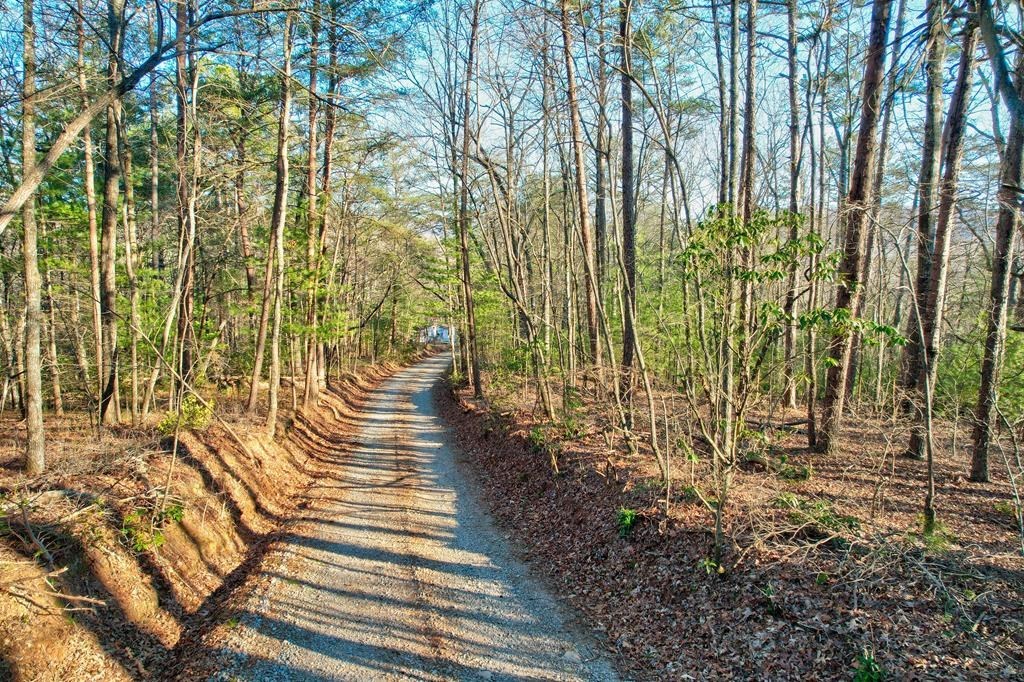 17.67-ac Rainbow Ridge Road Ellijay, GA 30536 - Photo 3 of 42 Gallery Image 3