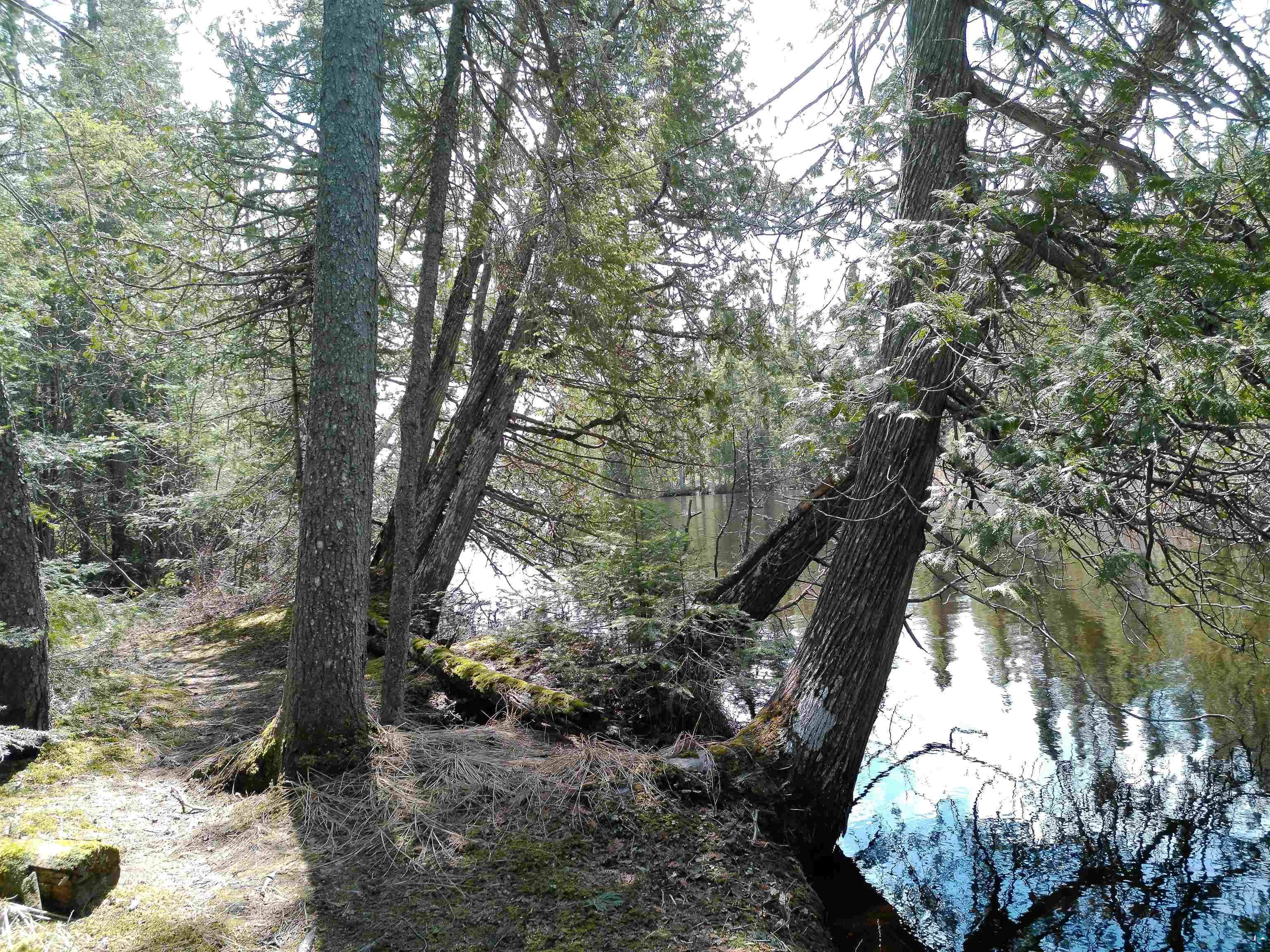 261 Caps Trail Lutsen, MN 55612 - Photo 4 of 72
