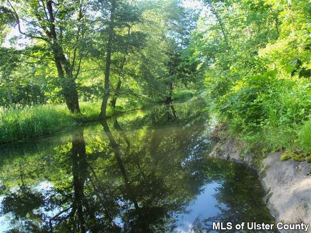 428 North Riverside Road Highland, NY 12528 - Photo 6 of 17 a view of a forest