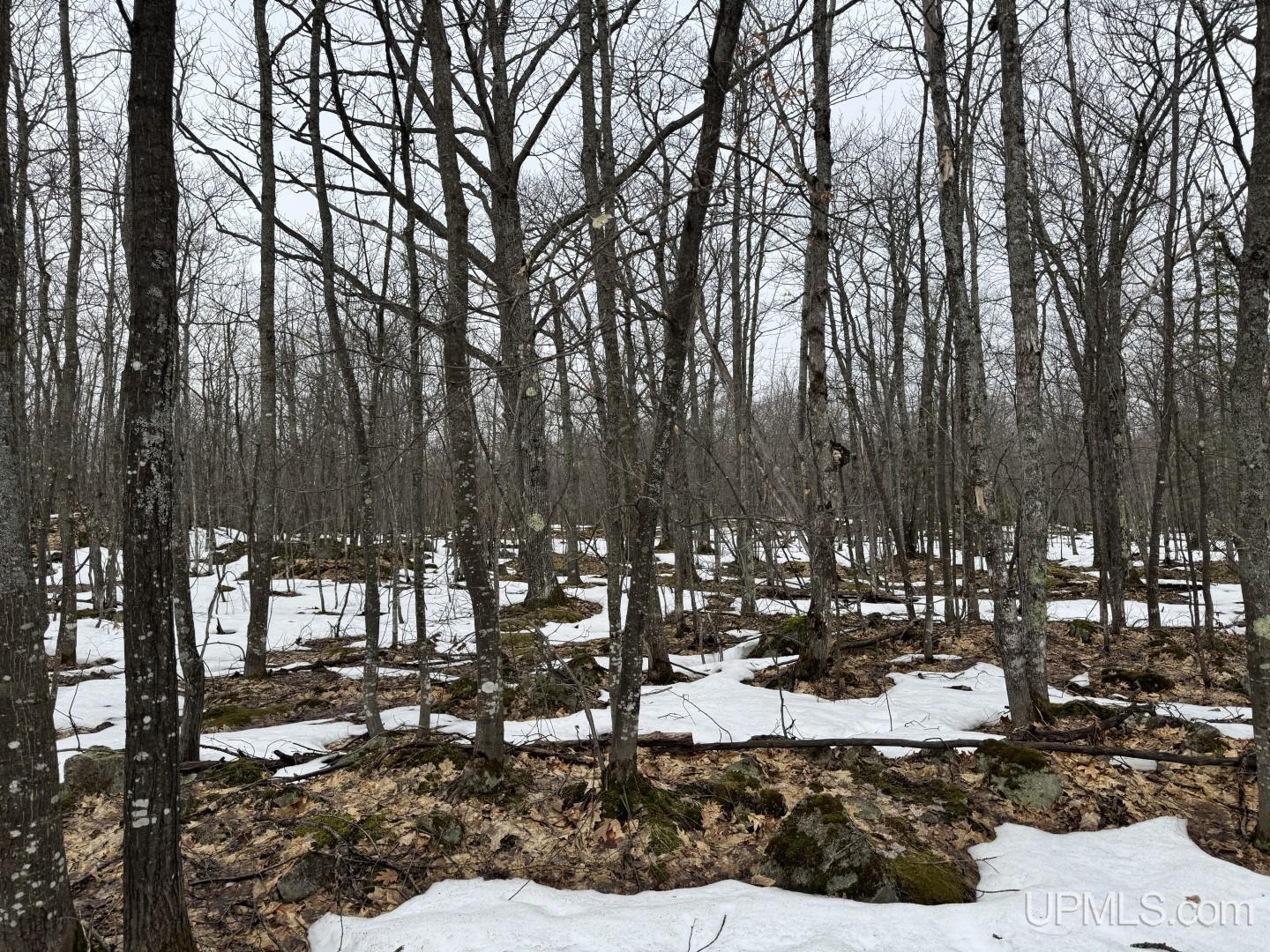 280-acres Off Pikes Peak Road Lanse, MI 49946 - Photo 18 of 21