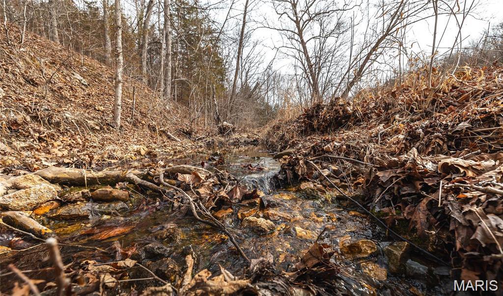 0 Private Drive Rolla, MO 65401 - Photo 3 of 11