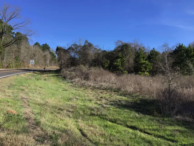 a view of a yard with an outdoor space