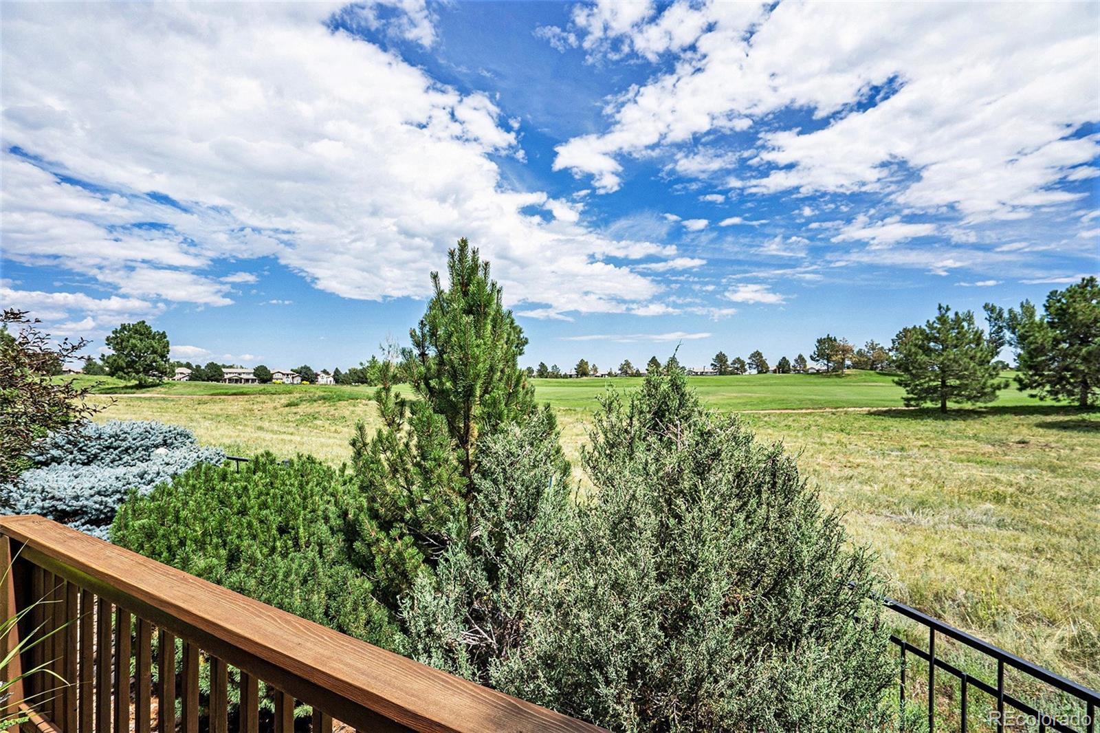8974 Hunters Way Highlands Ranch, CO 80129 - Photo 35 of 40 Gallery Image 35
