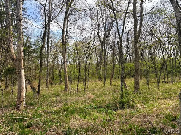 $56,900 | 6.3-acres Laffoon Lane, Linn, MO 65051