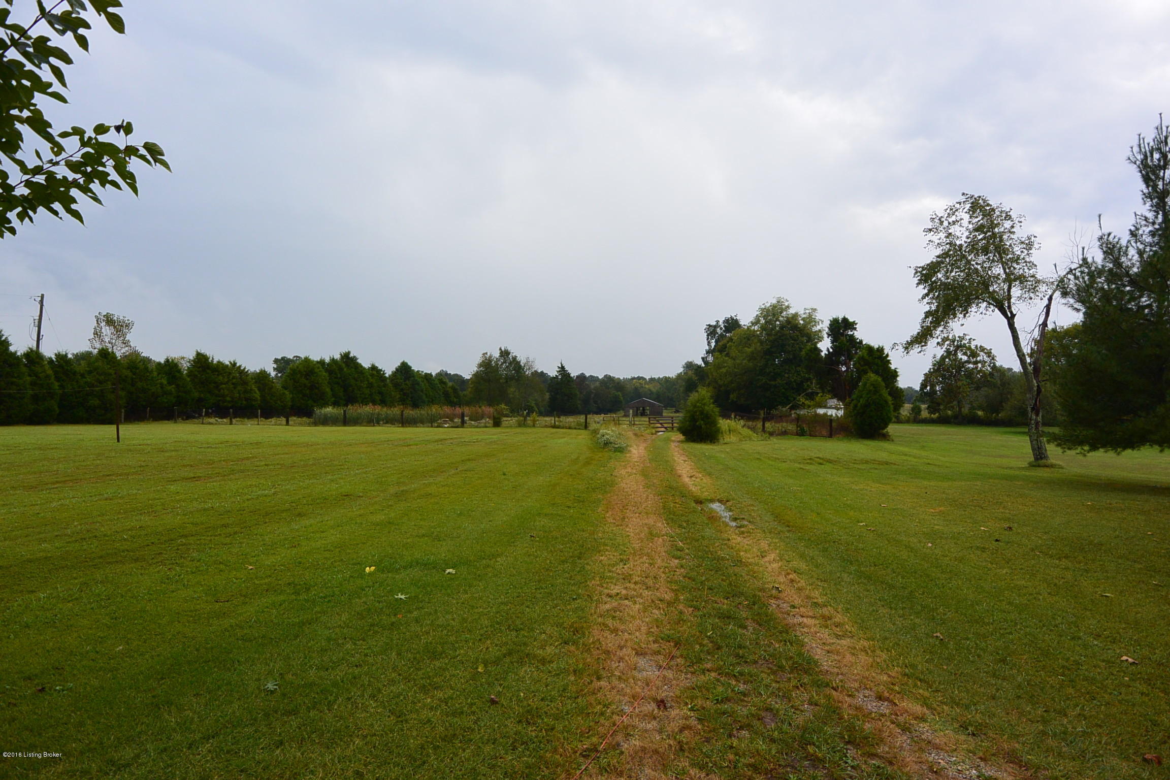 1457 Wheeler Road Bardstown, KY 40004 - Photo 19 of 24 DSC_9994