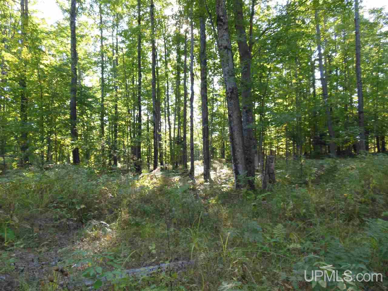 0 Biltonen Road Lanse, MI 49946 - Photo 2 of 3 Gallery Image 2