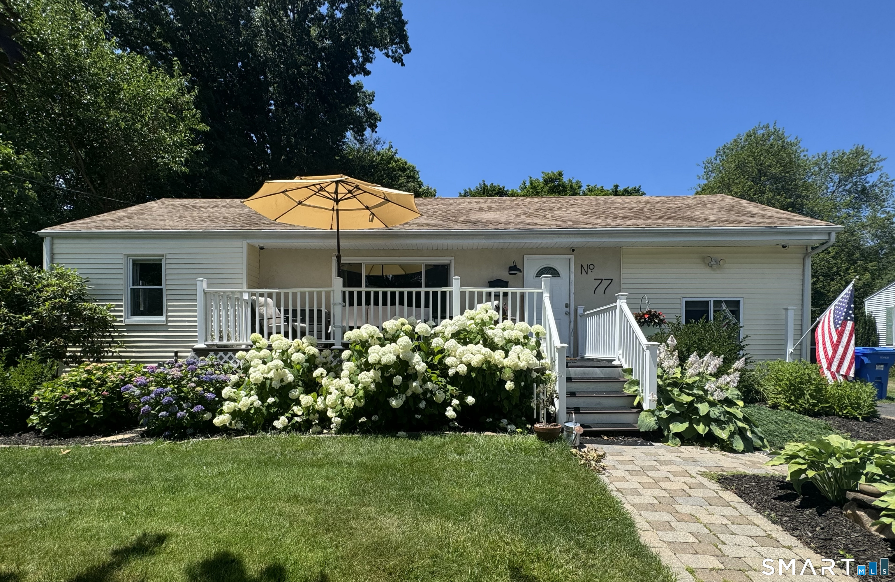 Hydrangeas in bloom!