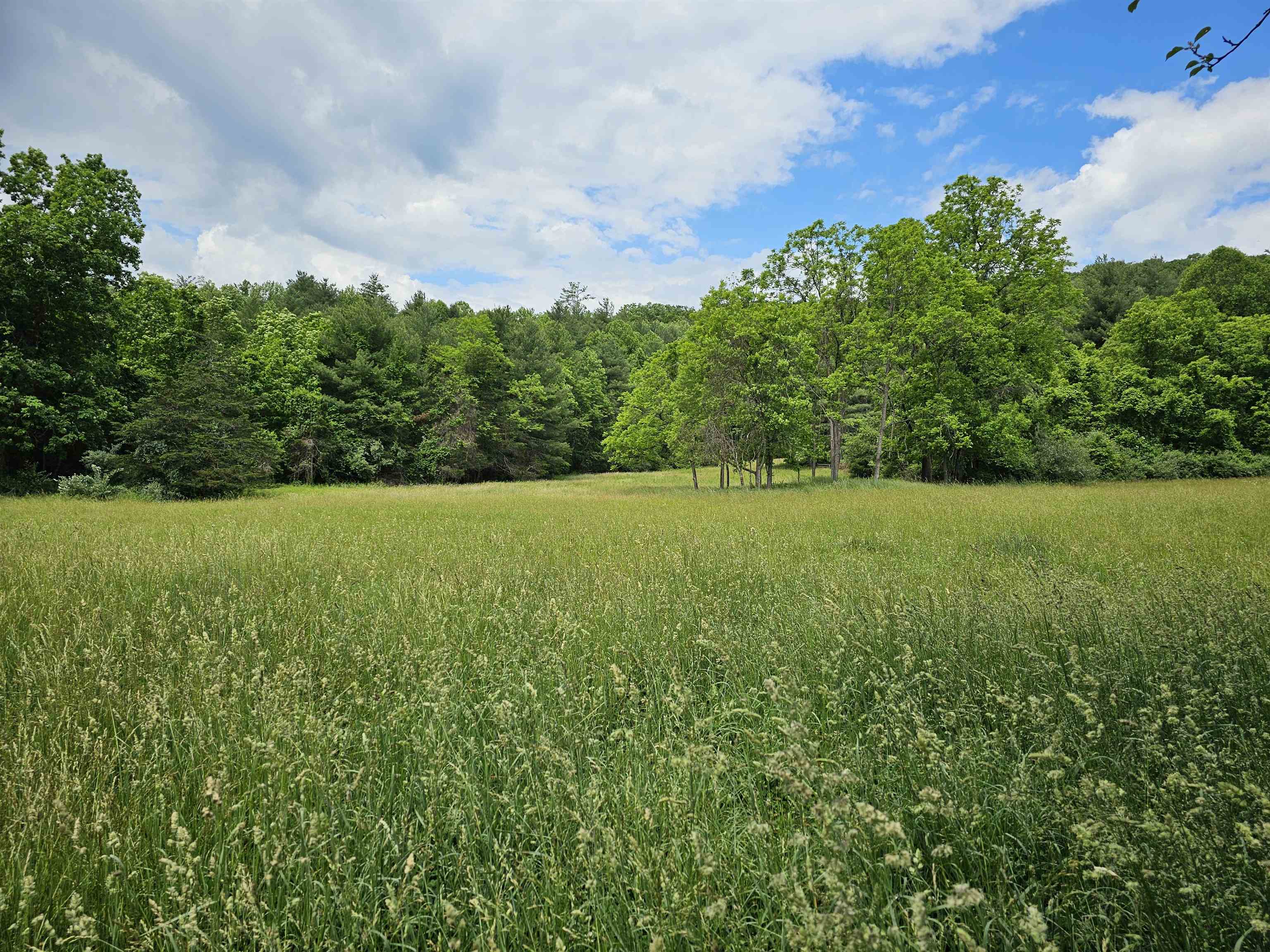 2105 Coles Mountain Road Covington, VA 24426 - Photo 34 of 66