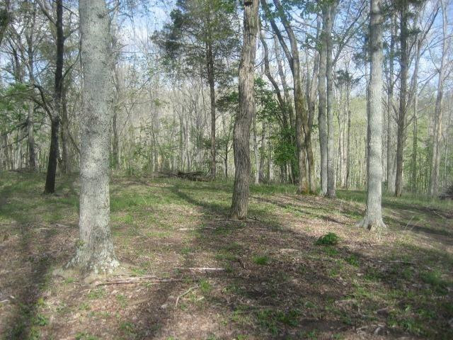 4158 Pinhook Road Mount Olivet, KY 41064 - Photo 21 of 35 Photo 21