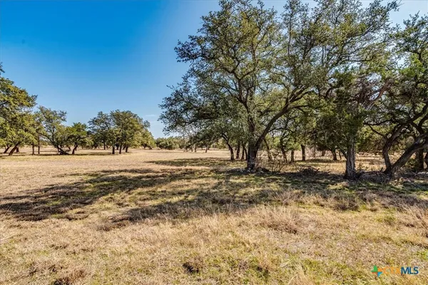 a view of dirt yard with a trees