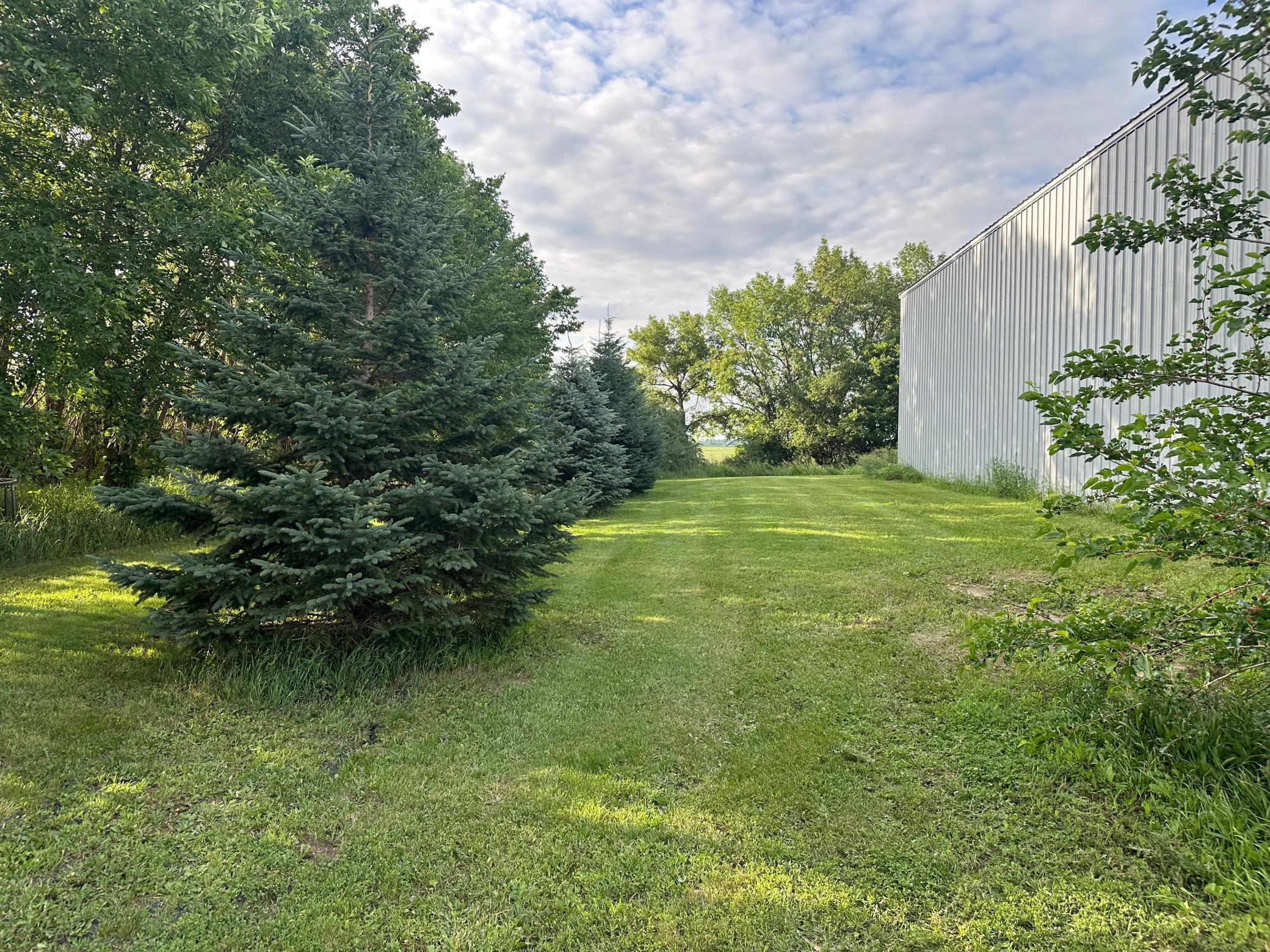 1865 180th Street Canby, MN 56220 - Photo 43 of 51