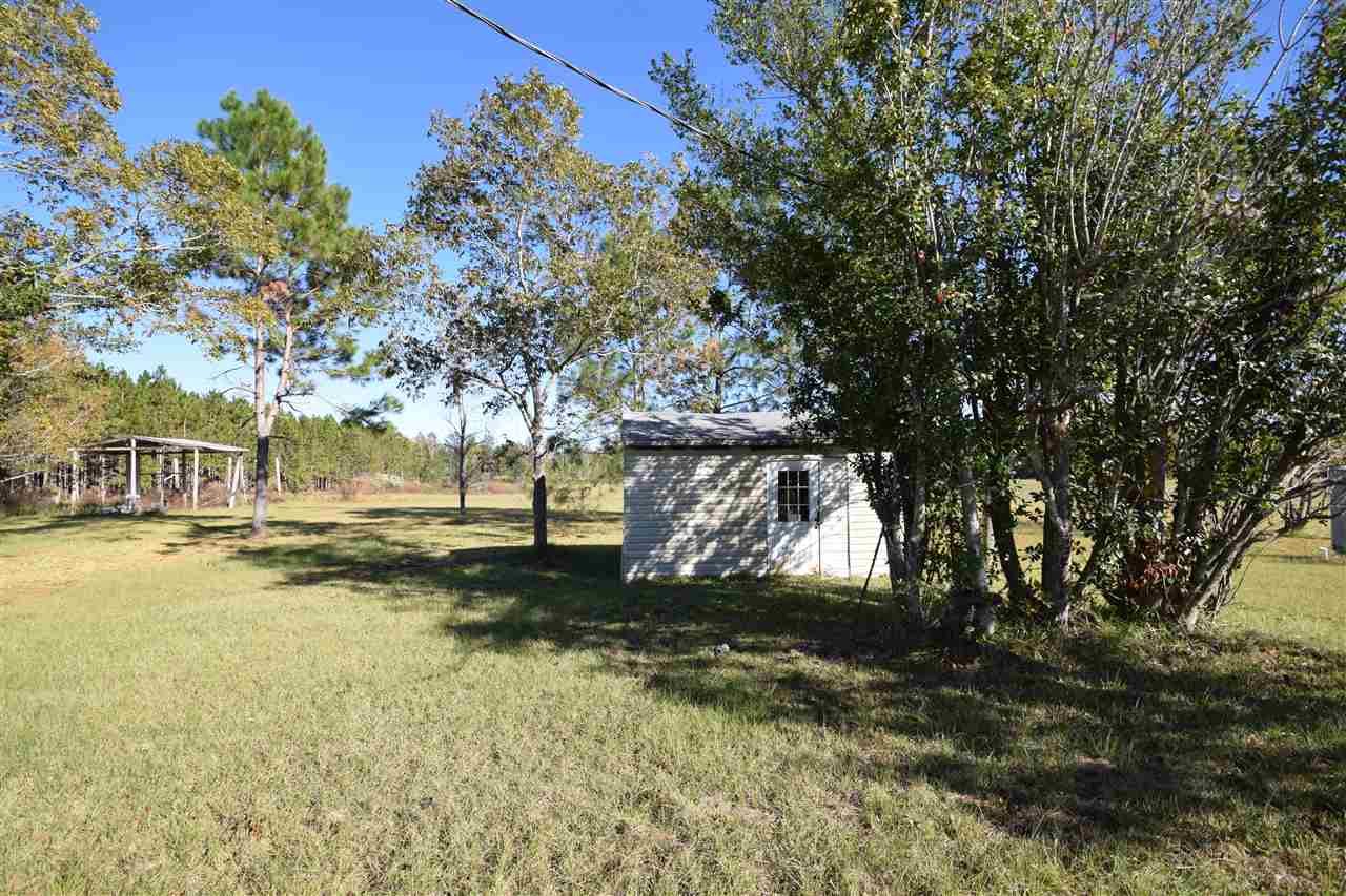 6488 161st Road Live Oak, FL 32060 - Photo 10 of 36 Gallery Image 10