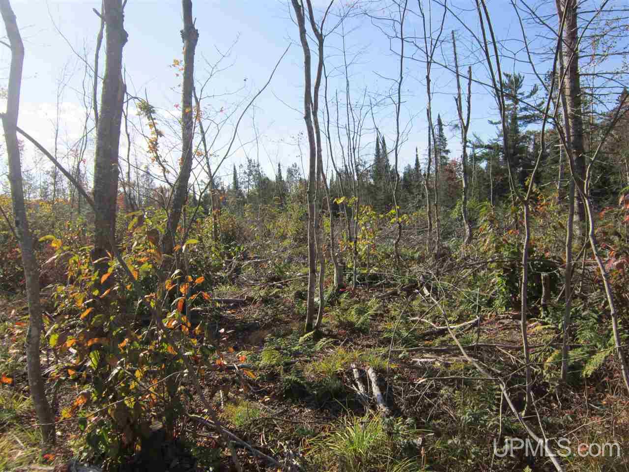 N2003 Sturgeon River Road Munising, MI 49862 - Photo 29 of 36