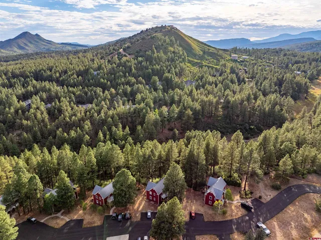 a view of a city with an ocean