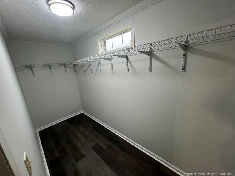 451 East McRainey Road St. Pauls, NC 28384 - Photo 14 of 23 Photo 15