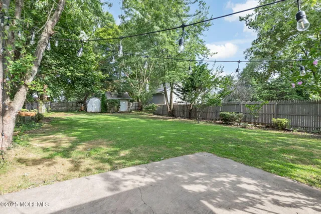 a view of a park with large trees