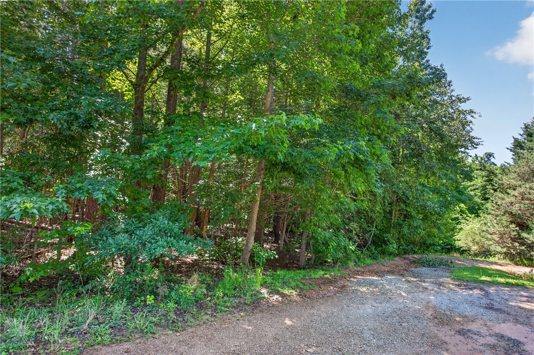 0 Seneca Springs Landing Road Seneca, SC 29678 - Photo 11 of 39 Mature trees and lush greenery offer a serene and private natural setting for your future home.
