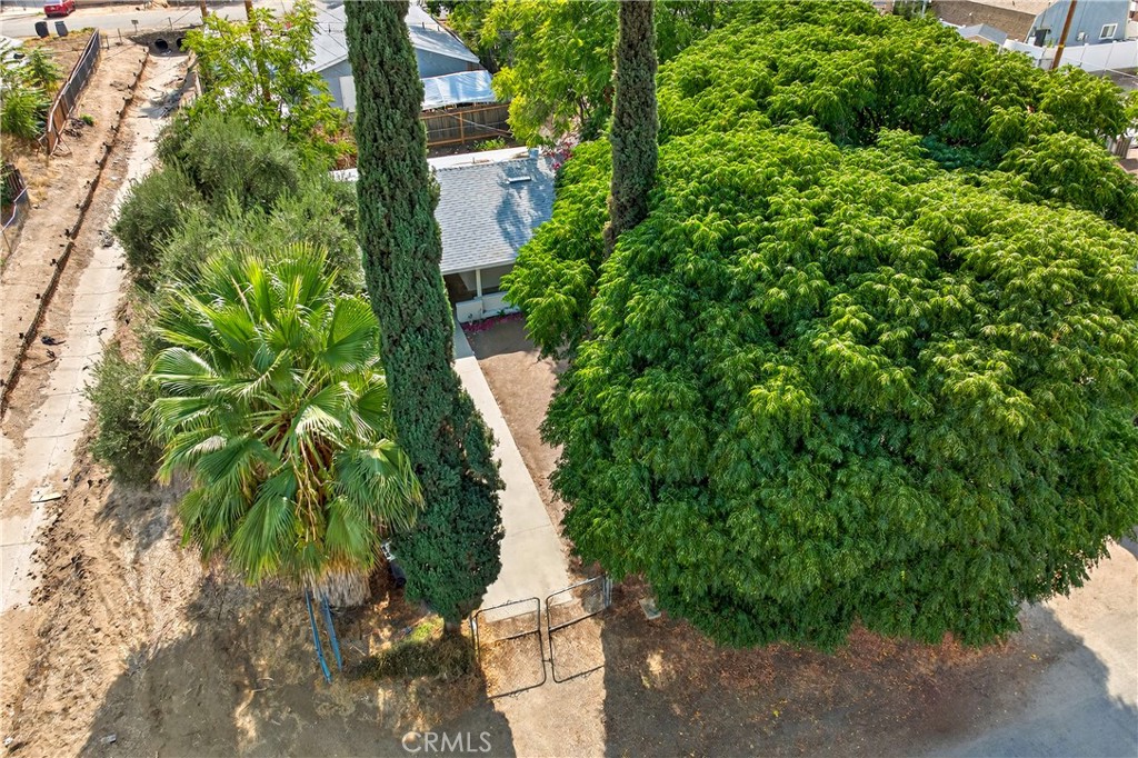 17653 Raley Avenue Lake Elsinore, CA 92530 - Photo 20 of 29 a picture of plants