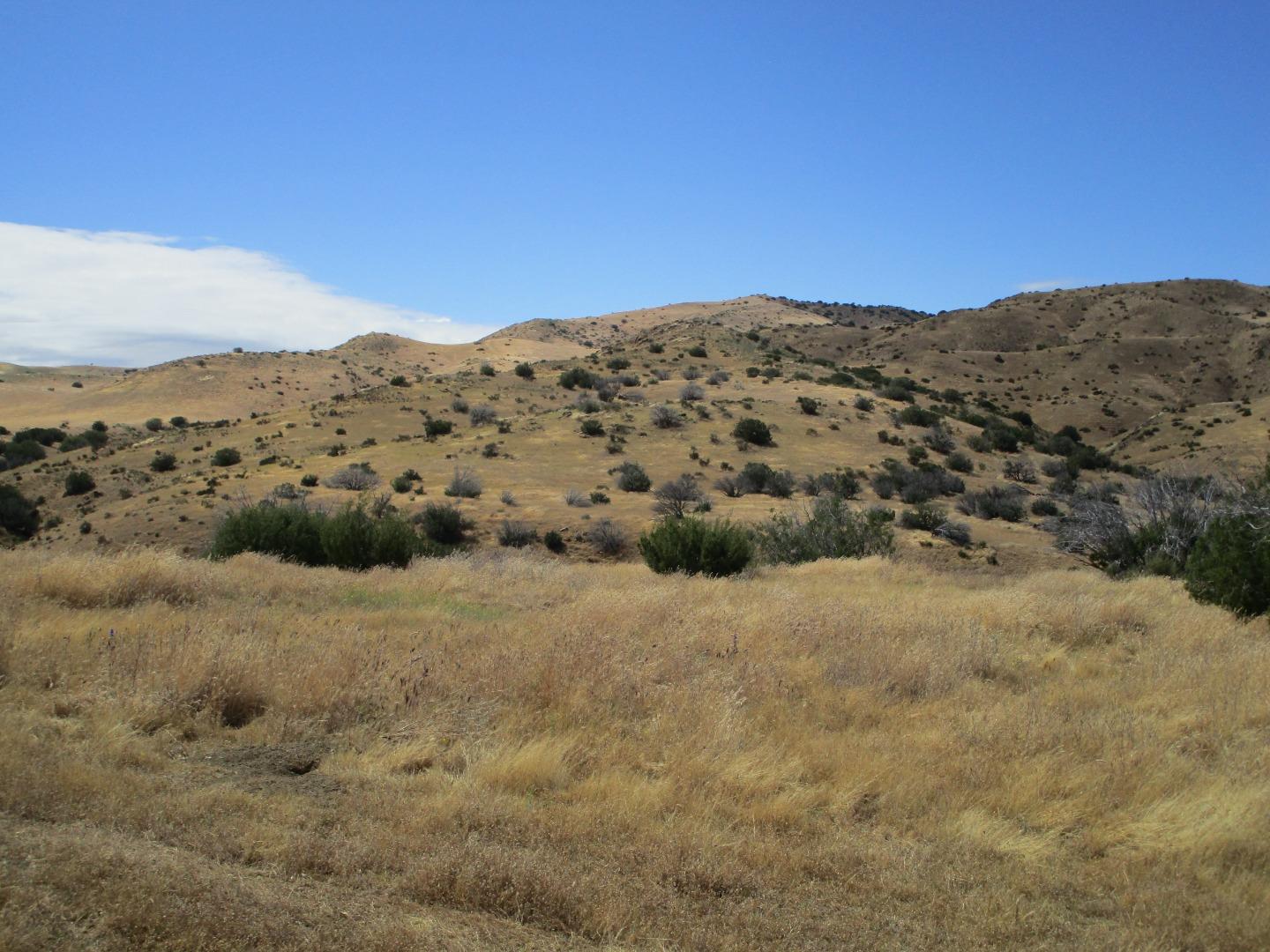 0 New Idria Road Paicines, CA 95043 - Photo 7 of 26