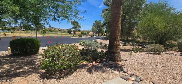 a view of a street with a bench and trees
