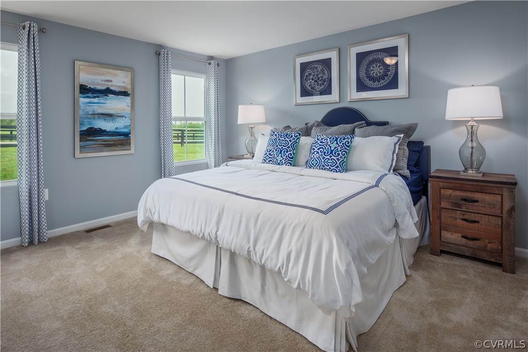 807 Vickilee Road Chesterfield, VA 23236 - Photo 11 of 16 Gallery Image 11