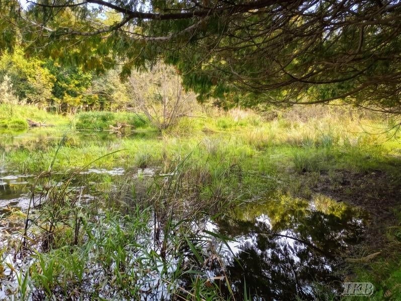 35.11-acres North Hockaday Road Gladwin, MI 48624 - Photo 39 of 83 Gallery Image 39