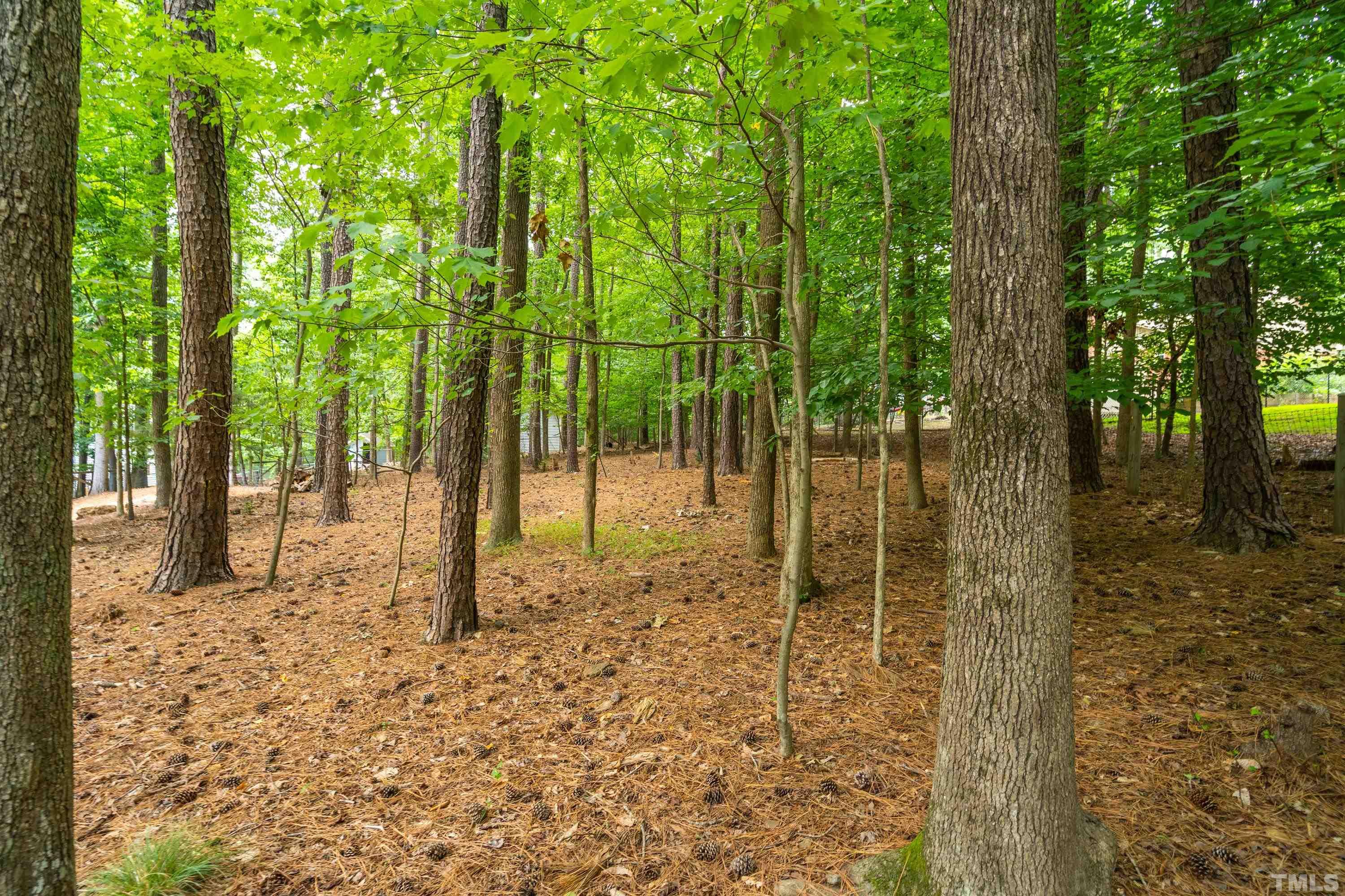 2600 Ferrand Drive Durham, NC 27705 - Photo 66 of 67