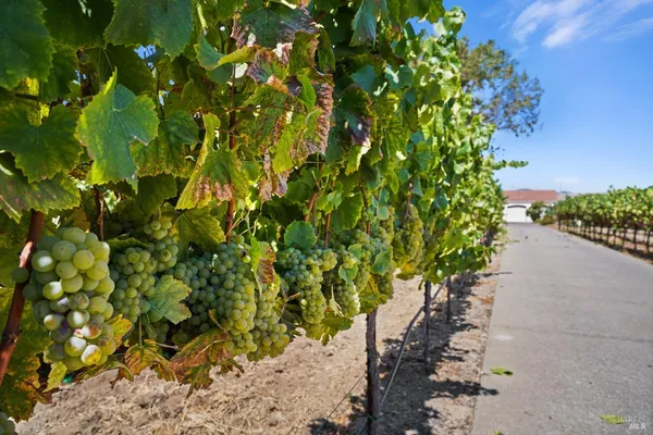 $2,995,000 | 5267 Old Sonoma Road, Napa, CA 94559