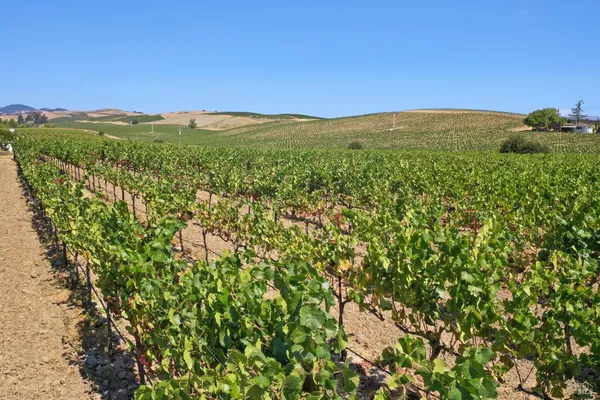 $2,995,000 | 5267 Old Sonoma Road, Napa, CA 94559