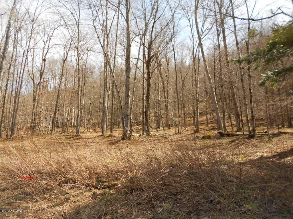 1601 Methol Road Roscoe, NY 12776 - Photo 3 of 4