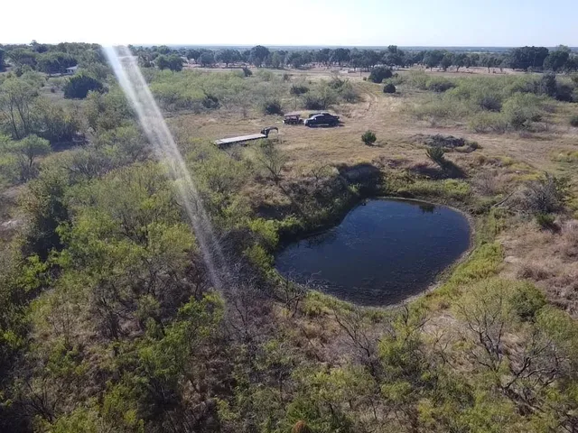 a view of a dry yard with green space