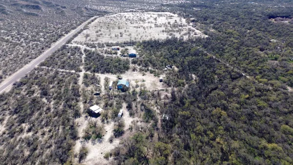 a view of a dry yard with lots of trees