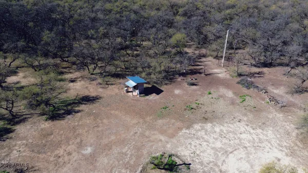 a view of a dry yard