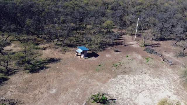 a view of a dry yard