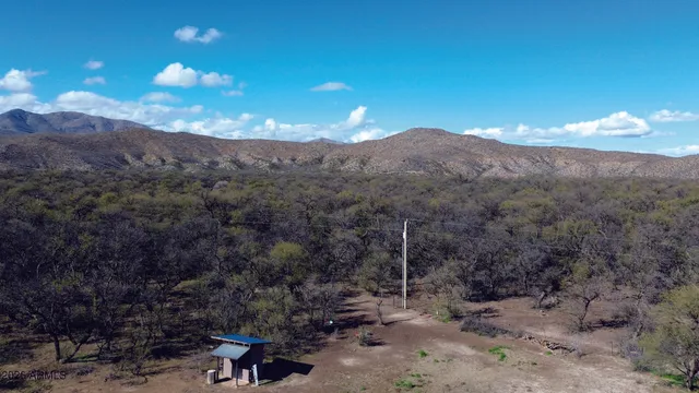 a view of a dry yard with lots of bushes