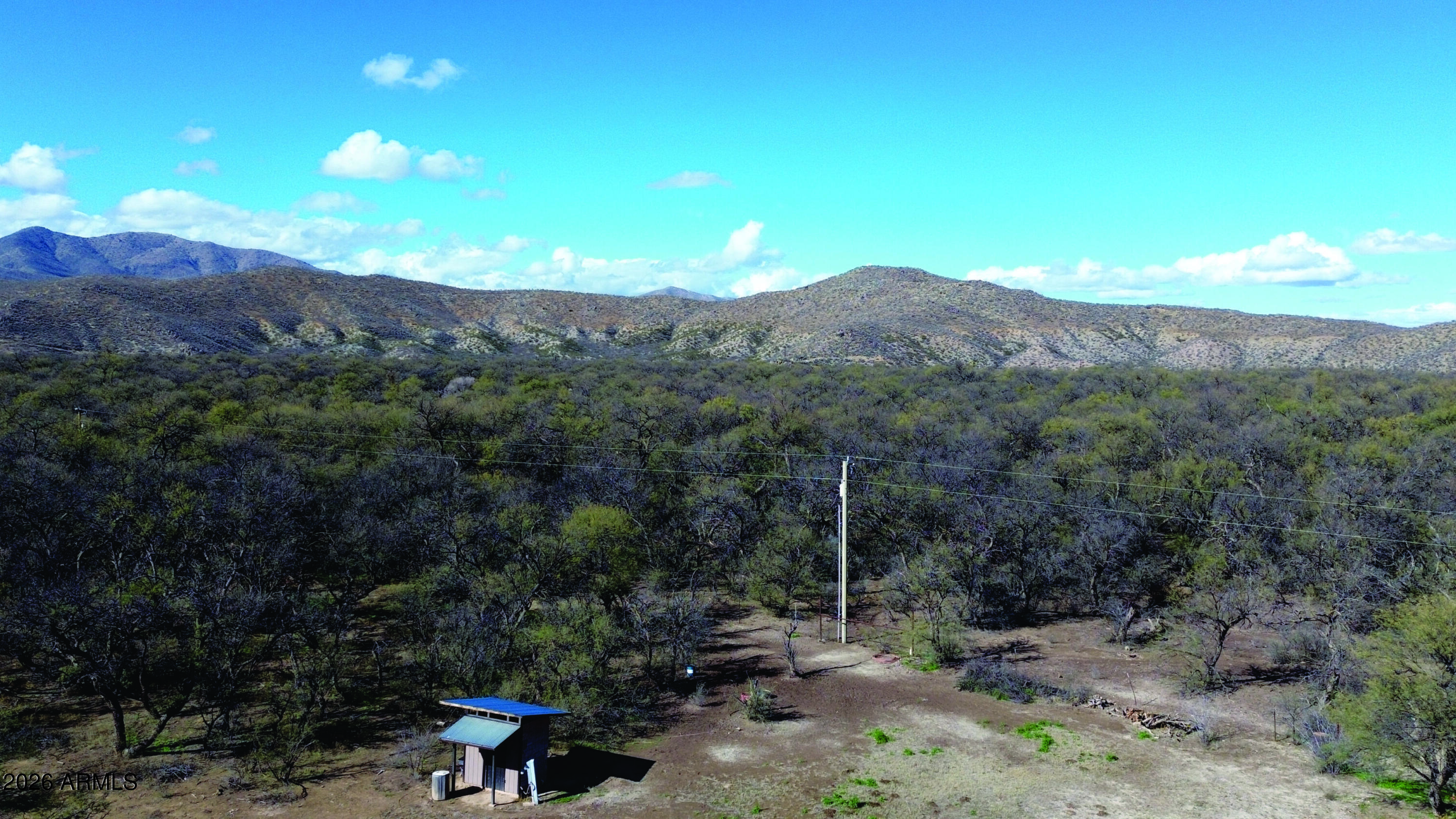 3236 North Cascabel Road Benson, AZ 85602 - Photo 32 of 63 a view of a forest with mountains in the background