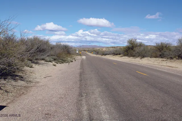 a view of a backyard with large tree