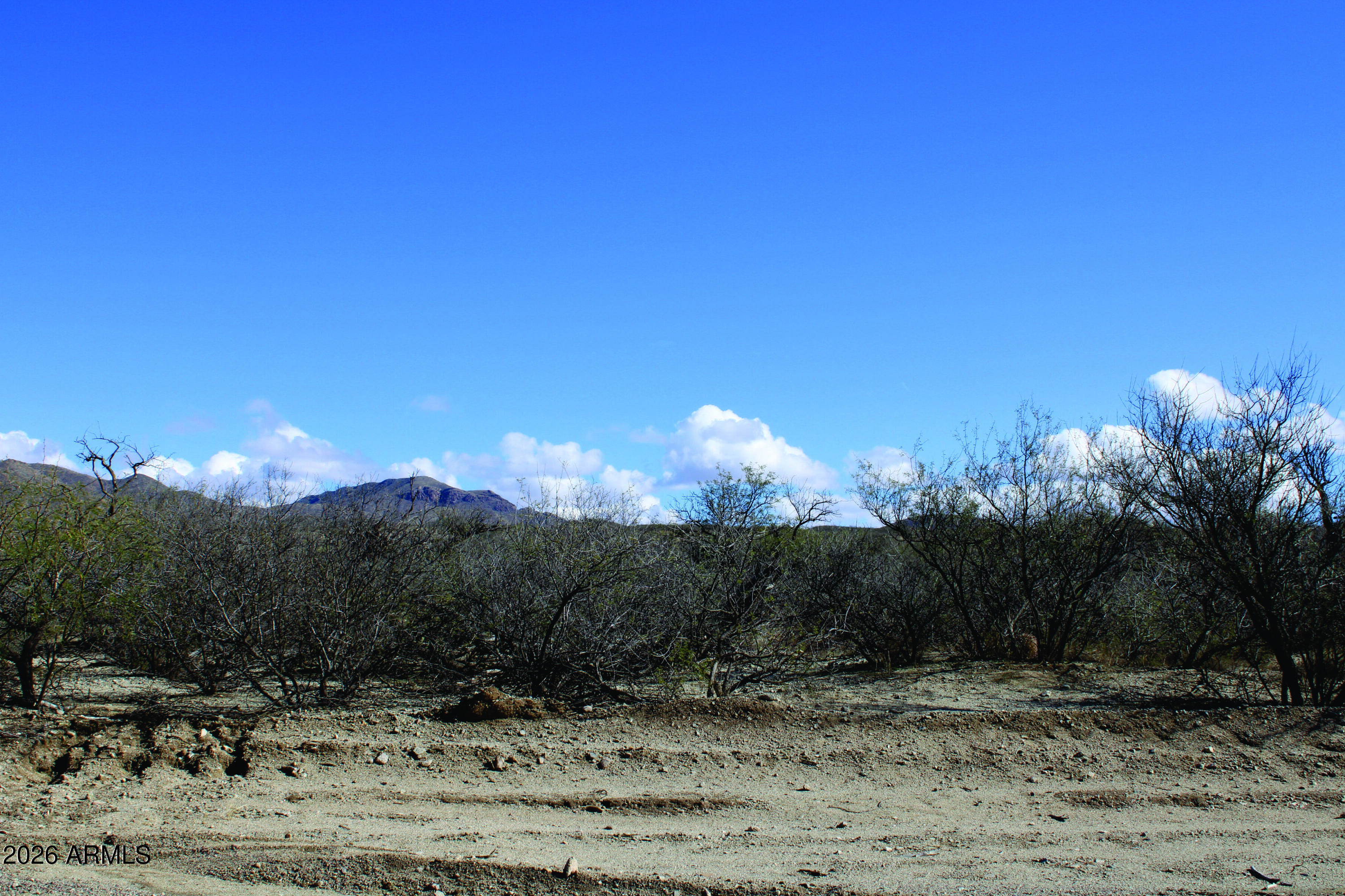 3236 North Cascabel Road Benson, AZ 85602 - Photo 39 of 63 a view of a yard with a mountain