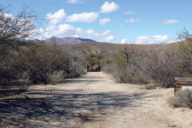 a view of a yard with a tree