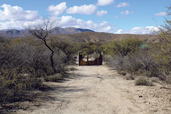 a view of a dry yard with trees