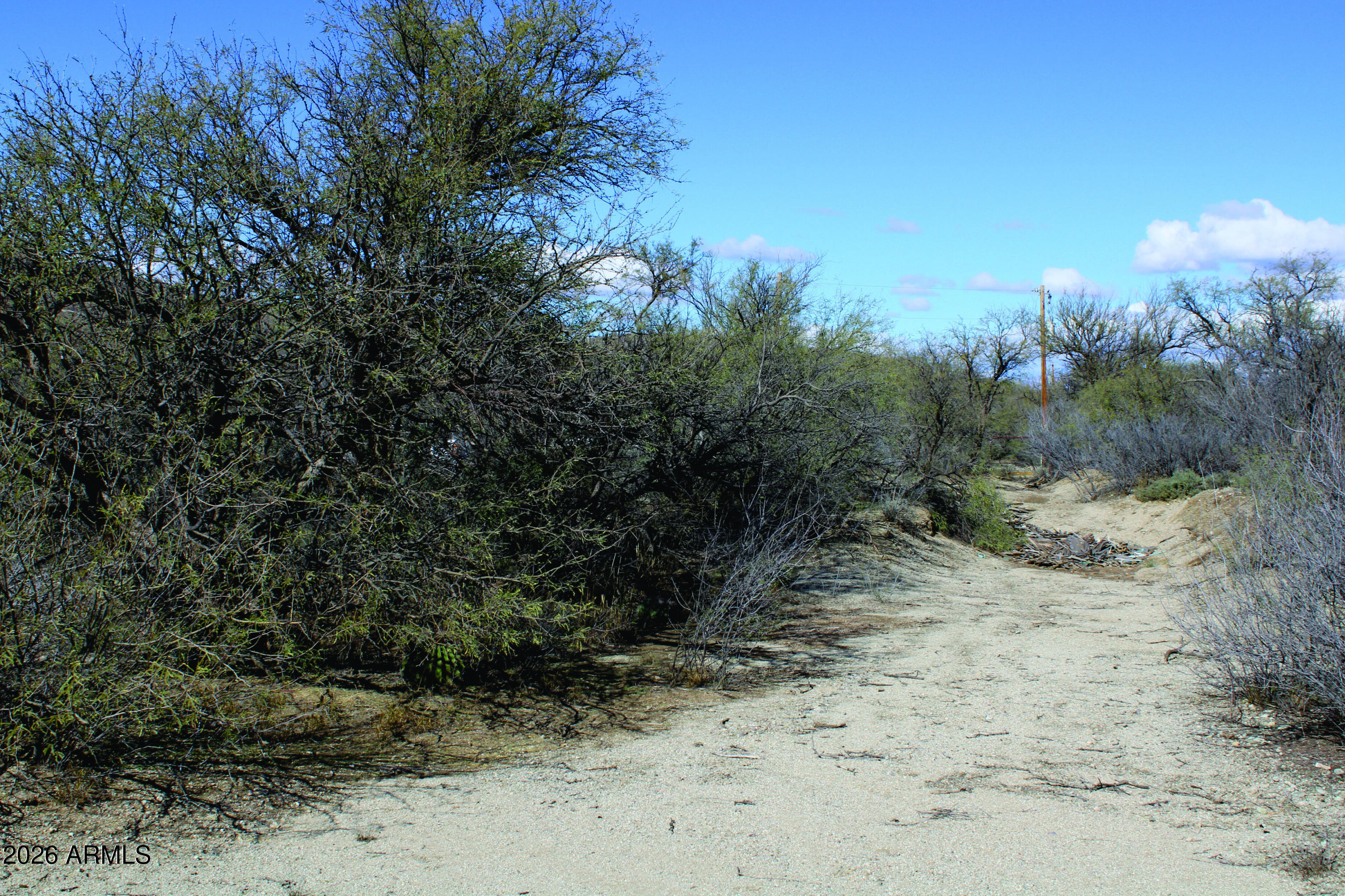 3236 North Cascabel Road Benson, AZ 85602 - Photo 43 of 63 a view of a dry yard with lots of bushes