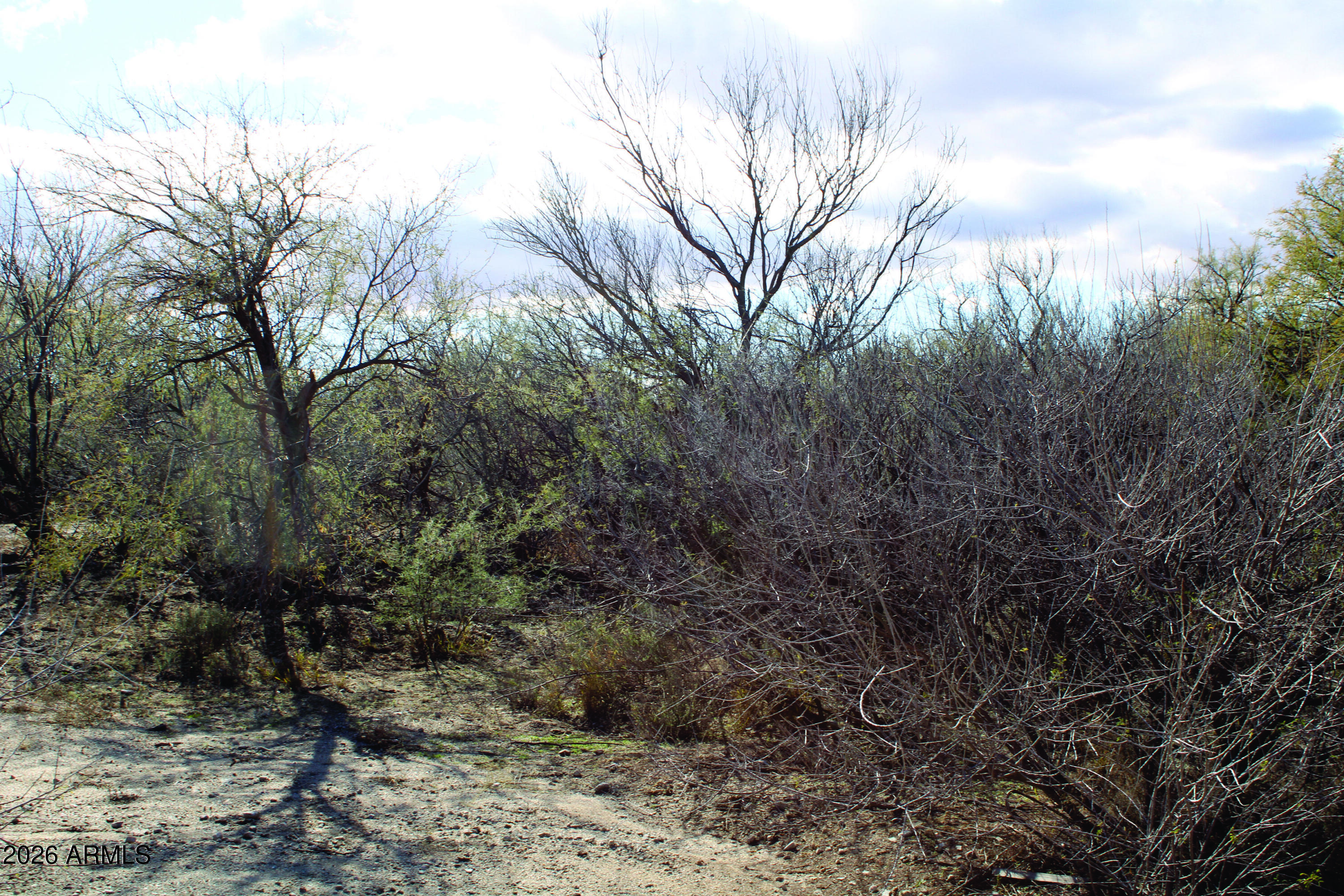 3236 North Cascabel Road Benson, AZ 85602 - Photo 44 of 63 a view of a yard with lots of bushes