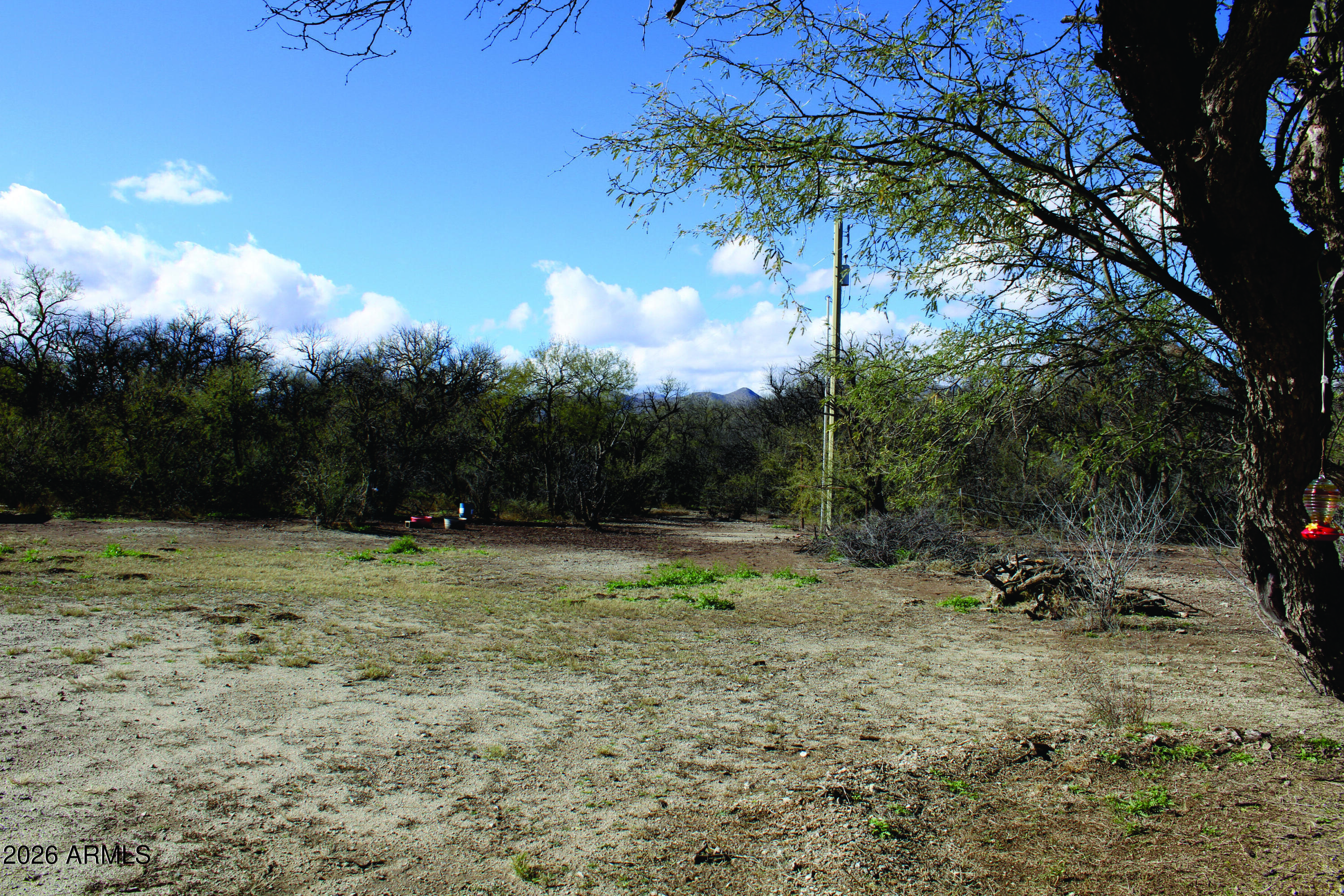 3236 North Cascabel Road Benson, AZ 85602 - Photo 52 of 63 a view of a yard with a tree