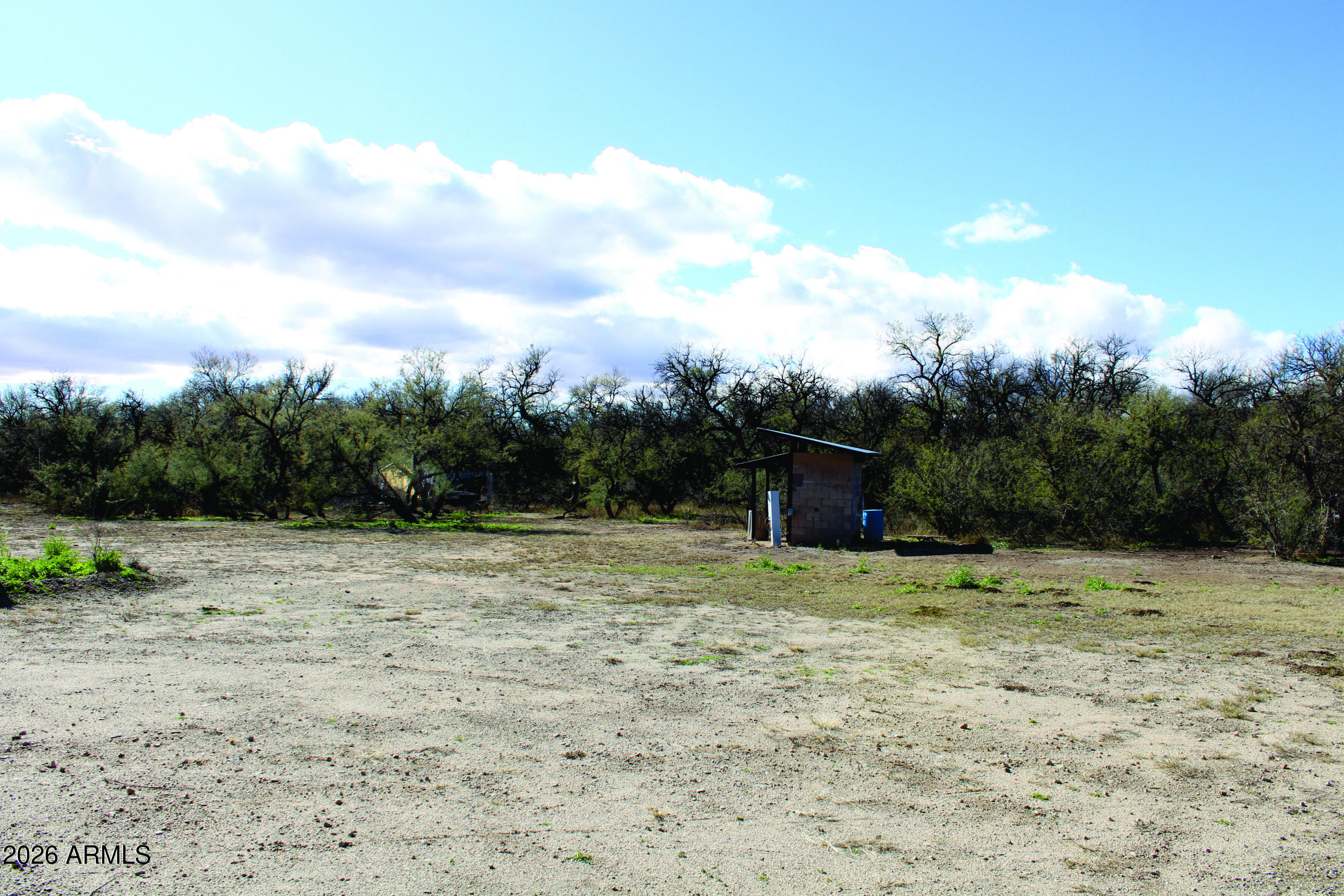 3236 North Cascabel Road Benson, AZ 85602 - Photo 53 of 63 a view of a dry yard with trees