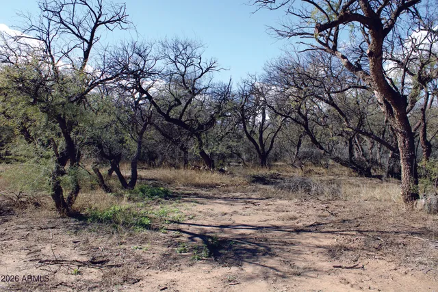 $219,900 | 3236 North Cascabel Road, Benson, AZ 85602